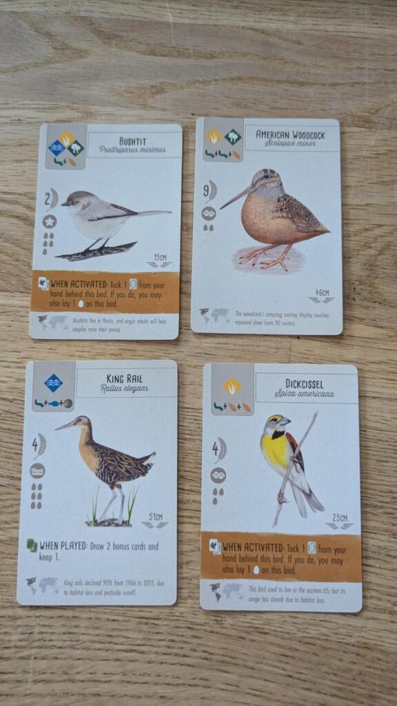 Photo of four illustrated bird cards from the game Wingspan: bushtit, american woodcock, king rail, and dickcissel
