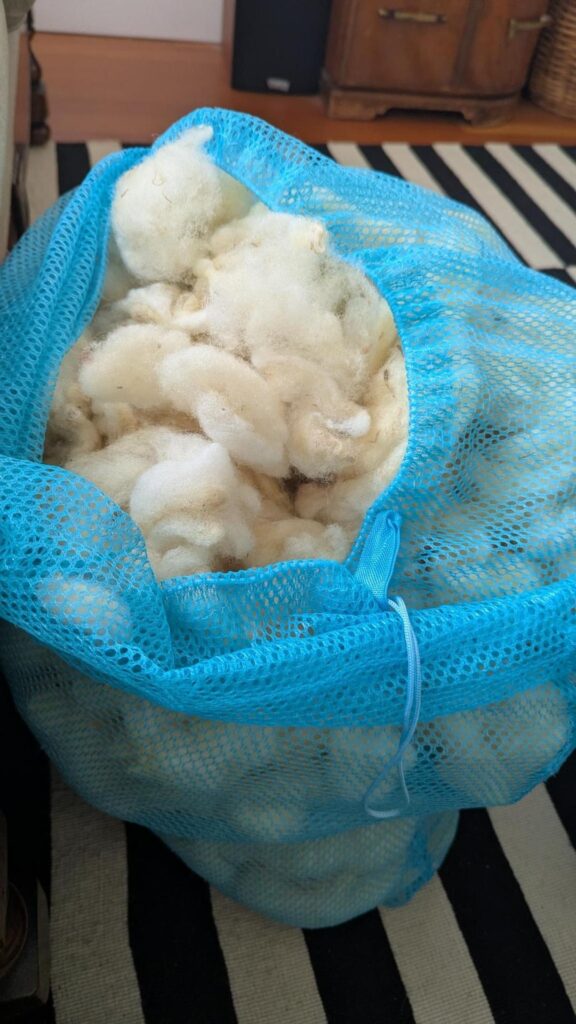 Photo of a large blue mesh drawstring bag full of lumpy tufts of white sheep fleece. In the background is a black and white striped rug and the feet of some wood furniture