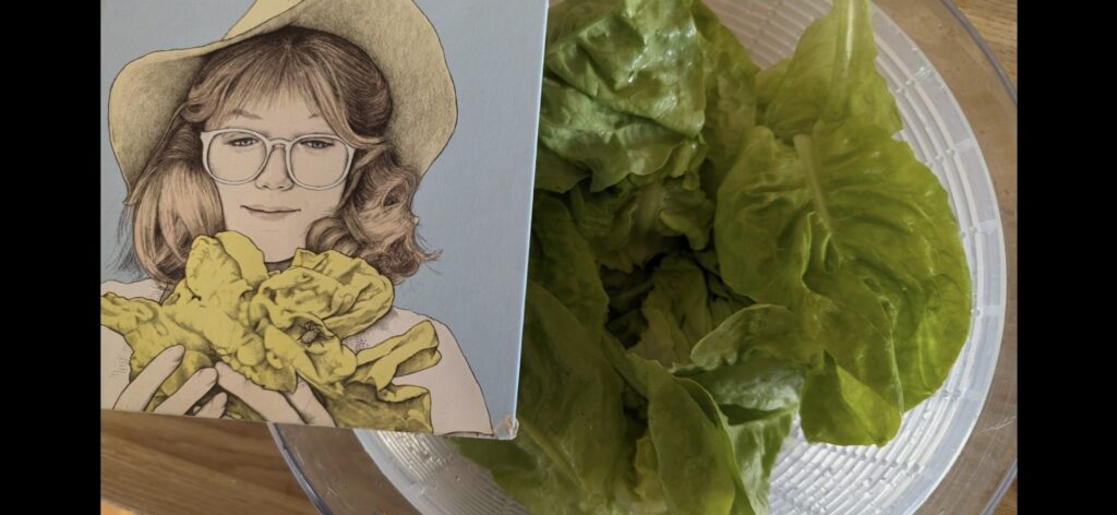 A photo of an illustrated book cover showing a lady from the 1980s in a sun hat and plastic-framed glasses holding a ruffly head of lettuce, next to a salad spinner full of ruffly lettuce leaves.