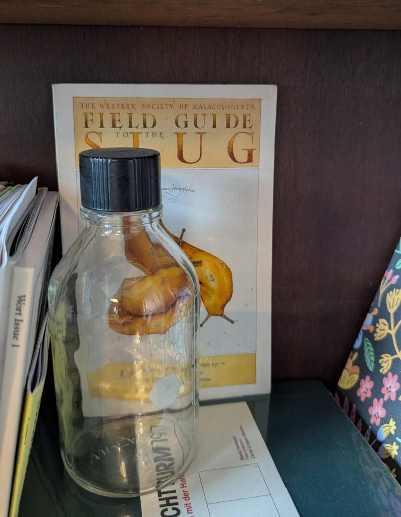 Photo of part of a bookshelf, where "Field Guide to the Slug" is facing out, partly blocked by an empty labware bottle