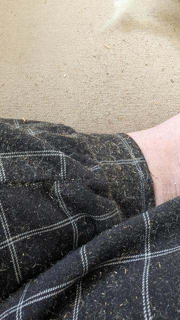 Photo of my ankles sitting cross-legged on the couch. Everything is covered in specks of dried grass